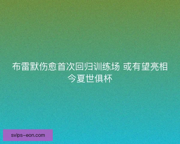 布雷默伤愈首次回归训练场 或有望亮相今夏世俱杯